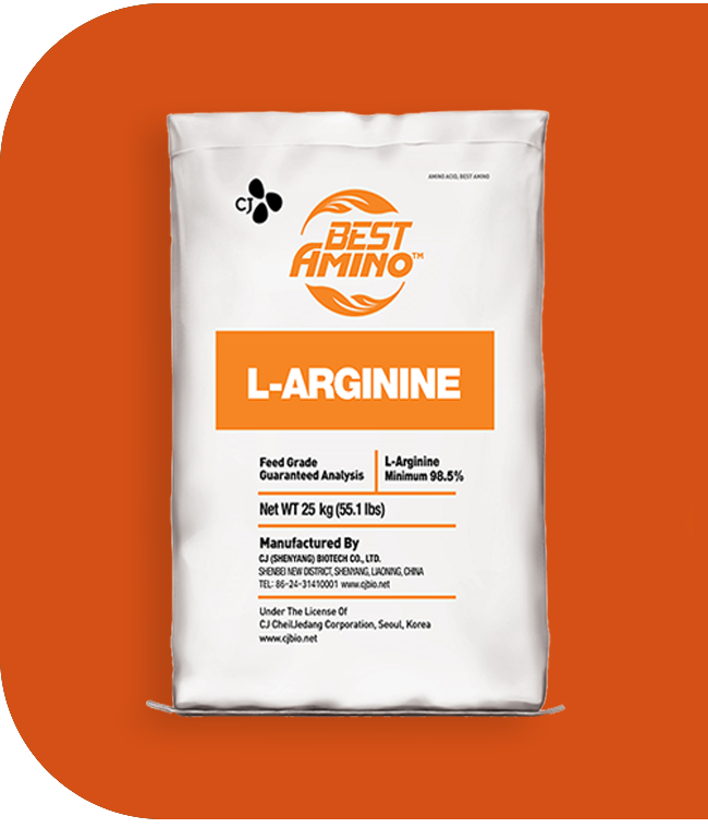 product-l-arginine