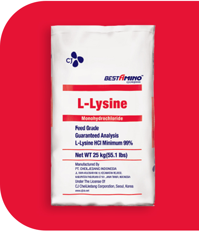 product-l-lysine